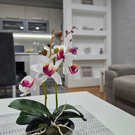 Apartman Vukota 피로트 외부 사진